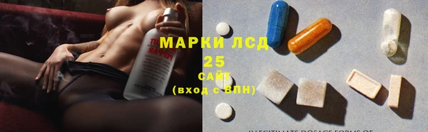 mdpv Заводоуковск