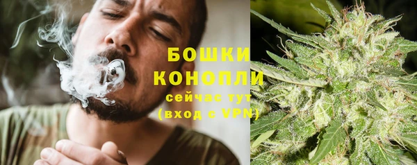 mdpv Заводоуковск