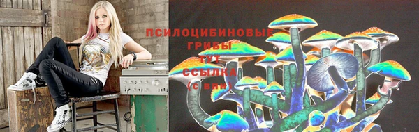 прущая мука Заволжск